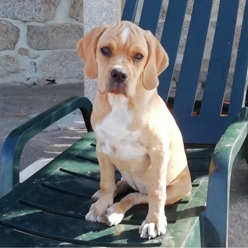 This is how we fall in love