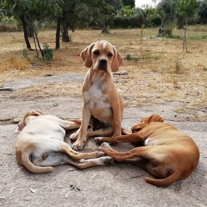 Pega with her two sisters