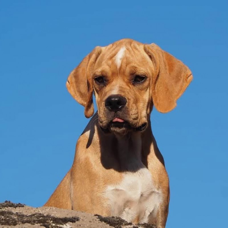 Already knows how to pose