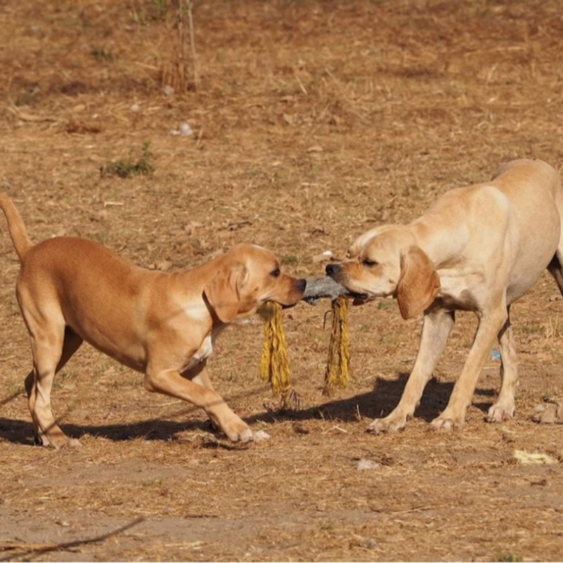This was our reference photo of how big she is
